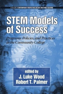 bokomslag Stem Models of Success