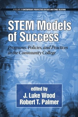 bokomslag STEM Models of Success