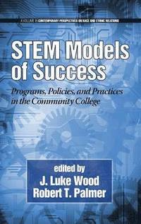 bokomslag STEM Models of Success