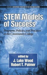 bokomslag Stem Models of Success