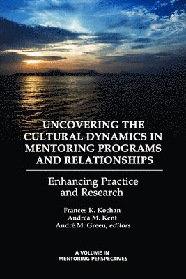 bokomslag Uncovering the Cultural Dynamics in Mentoring Programs and Relationships