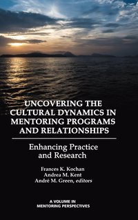 bokomslag Uncovering the Cultural Dynamics in Mentoring Programs and Relationships