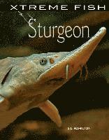 S. L. Hamilton - Sturgeon, Inbunden. Tillgänglighet: Tillfälligt slut