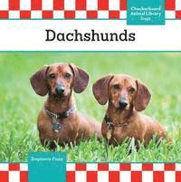 Stephanie Finne - Dachshunds, Inbunden