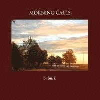 bokomslag Morning Calls