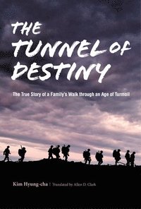 bokomslag Tunnel of Destiny