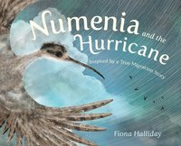bokomslag Numenia and the Hurricane: Inspired by a True Migration Story