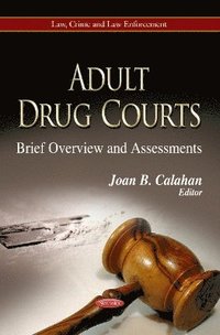bokomslag Adult Drug Courts