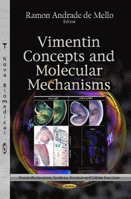 bokomslag Vimentin Concepts & Molecular Mechanisms