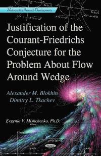 bokomslag Justification of the Courant-Friedrichs Conjecture for the Problem About Flow Around a Wedge