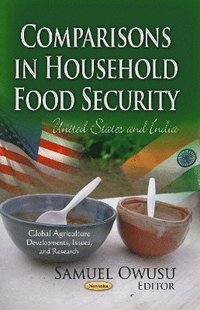 bokomslag Comparisons in Household Food Security