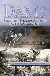 bokomslag Dams