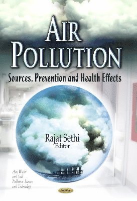 bokomslag Air Pollution