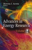 bokomslag Advances in Energy Research
