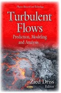 bokomslag Turbulent Flows