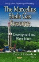 bokomslag Marcellus Shale Gas Resource