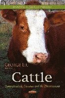 bokomslag Cattle
