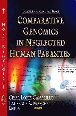 bokomslag Comparative Genomics in Neglected Human Parasites
