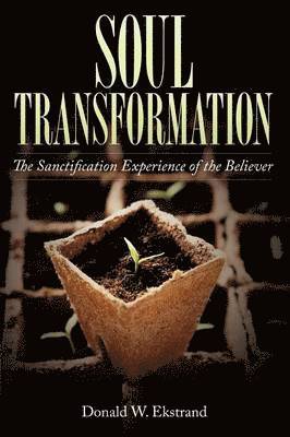 Soul Transformation 1