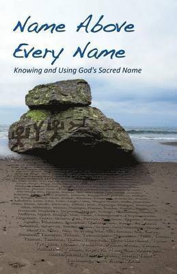 bokomslag Name Above Every Name