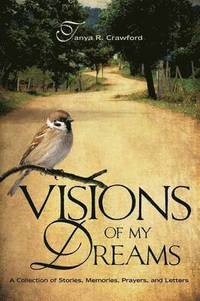 bokomslag Visions of My Dreams