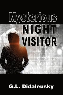 bokomslag Mysterious NIght Visitor