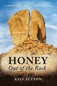 bokomslag Honey Out of the Rock