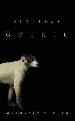 bokomslag Suburban Gothic