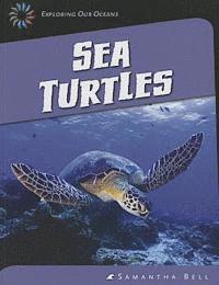 Sea Turtles 1