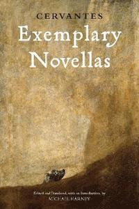 bokomslag Exemplary Novellas