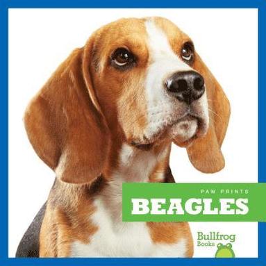 bokomslag Beagles