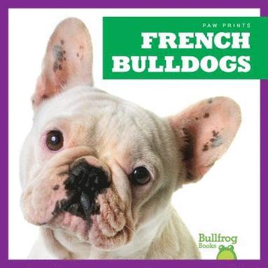 bokomslag French Bulldogs