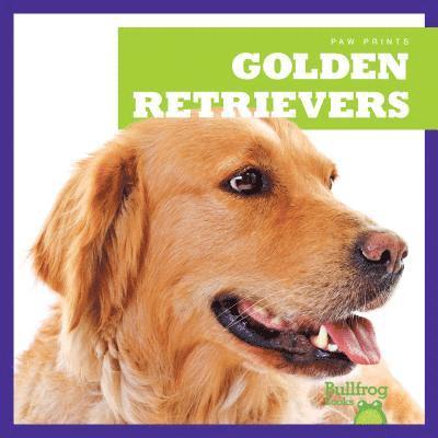 Golden Retrievers 1