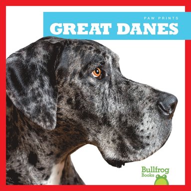 bokomslag Great Danes