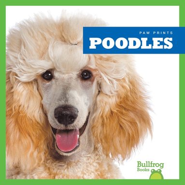 bokomslag Poodles
