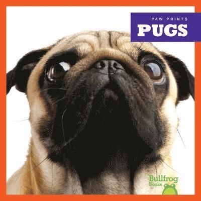 Pugs 1