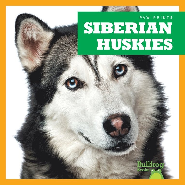 Siberian Huskies 1