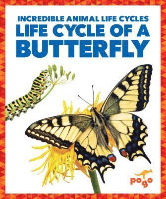 Karen Kenney - Kenney, K: Life Cycle of a Butterfly, Inbunden