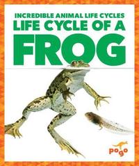 bokomslag Life Cycle of a Frog