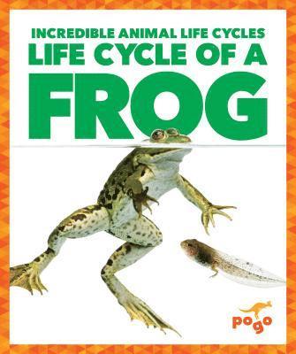 Life Cycle of a Frog 1