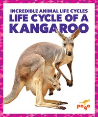 bokomslag Life Cycle of a Kangaroo