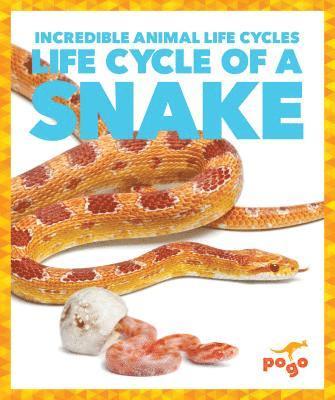 Life Cycle of a Snake 1