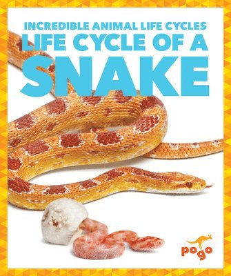 Karen Kenney - Life Cycle of a Snake, Häftad