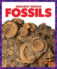 bokomslag Fossils