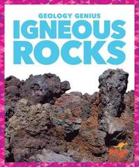 bokomslag Igneous Rocks