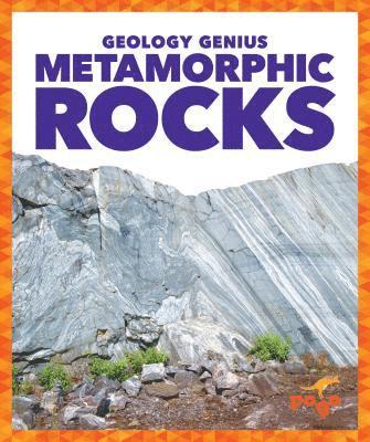 Rebecca Pettiford - Metamorphic Rocks, Inbunden