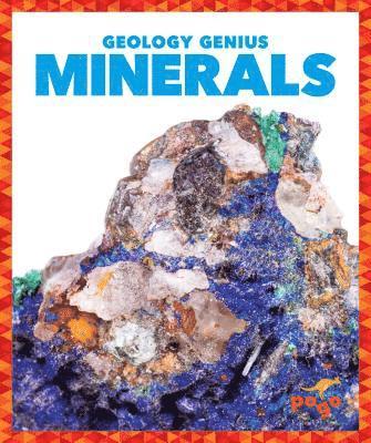 Minerals 1