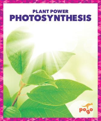 bokomslag Photosynthesis