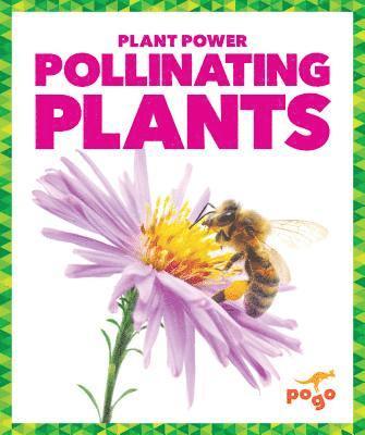 Pollinating Plants 1