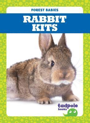 Rabbit Kits 1